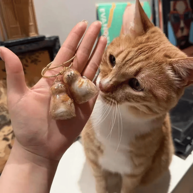 🐾1 Count Transparent Cat Hair Storage Capsule Keychain,🐱 Keepsake Decoration for Cat Lovers, 6 Cute Cat Designs Available💕