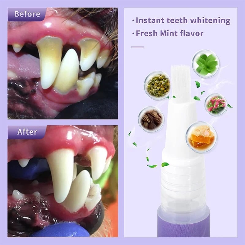 🔥Pawzioo™ Pet Oral Repair Gel  – Freshen Your Pet’s Breath & Improve Gum Health Fast!